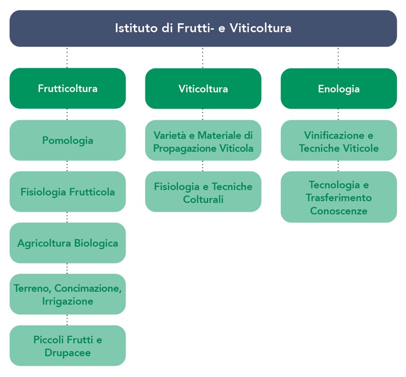 Organigramma Istituto di Frutti- e Viticoltura